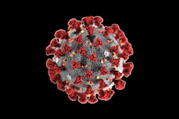 Coronavirus COVID - 19 advice for employers Coronavirus COVID - 19 advice for employers